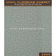 Plastic carpet rug 2203