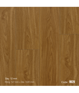 Sàn gỗ Hansol 9929
