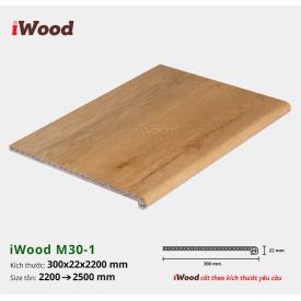 iWood M30-1